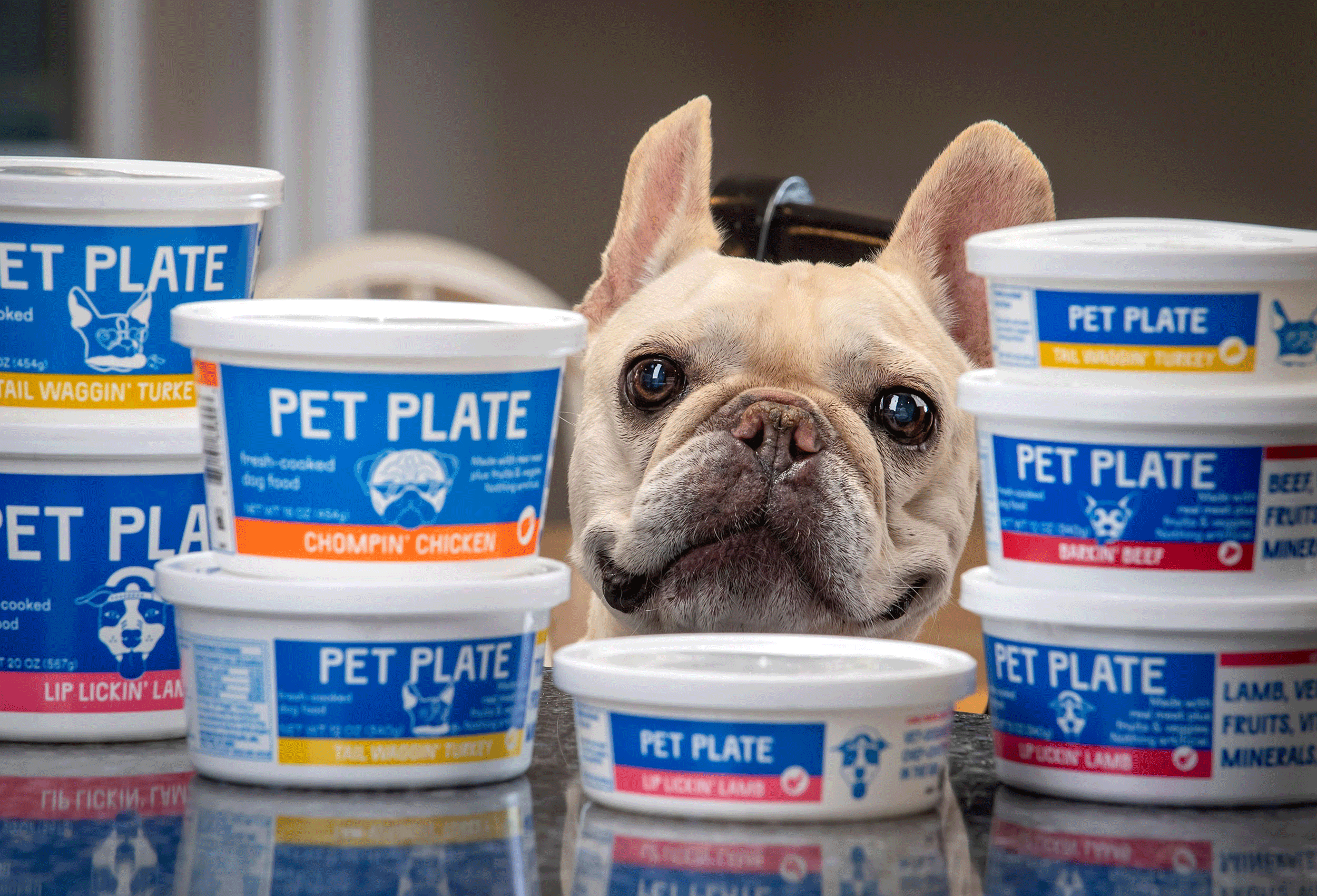 animated gif for Pet Plate