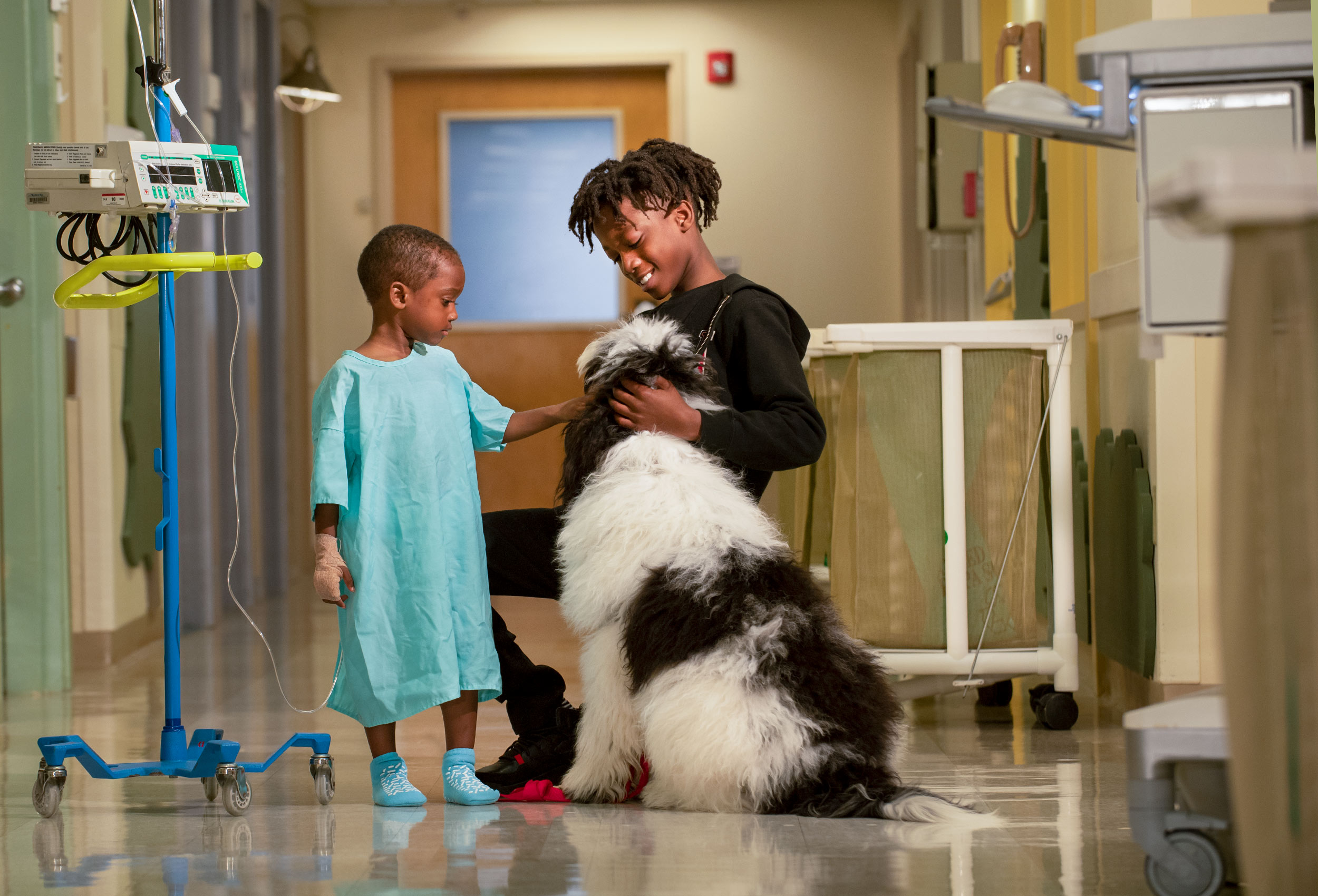 Little boy hospital patient and his brother with therapy dog in hallway 