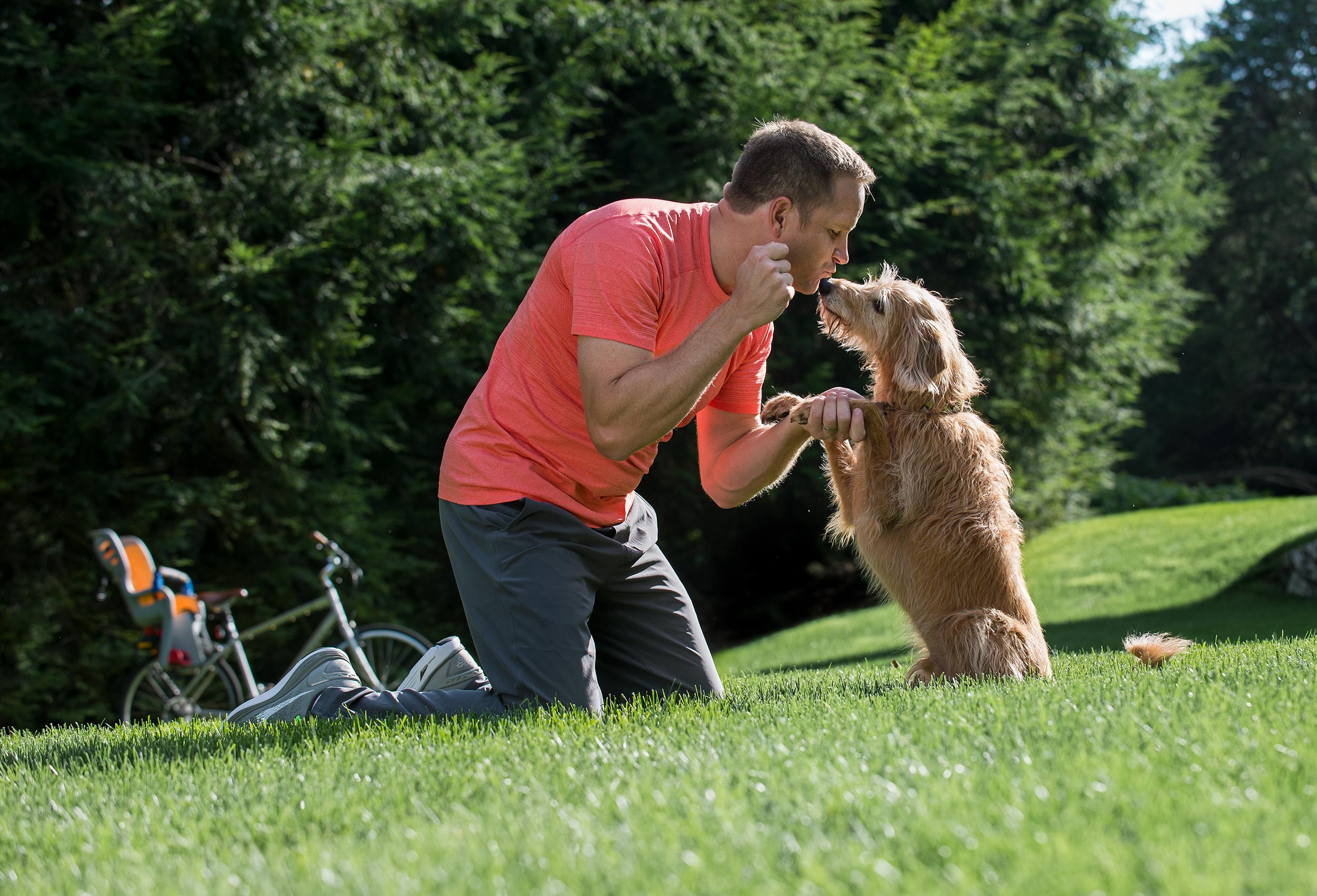 Man trains brown dog on green lawn - dog lifestyle photographer