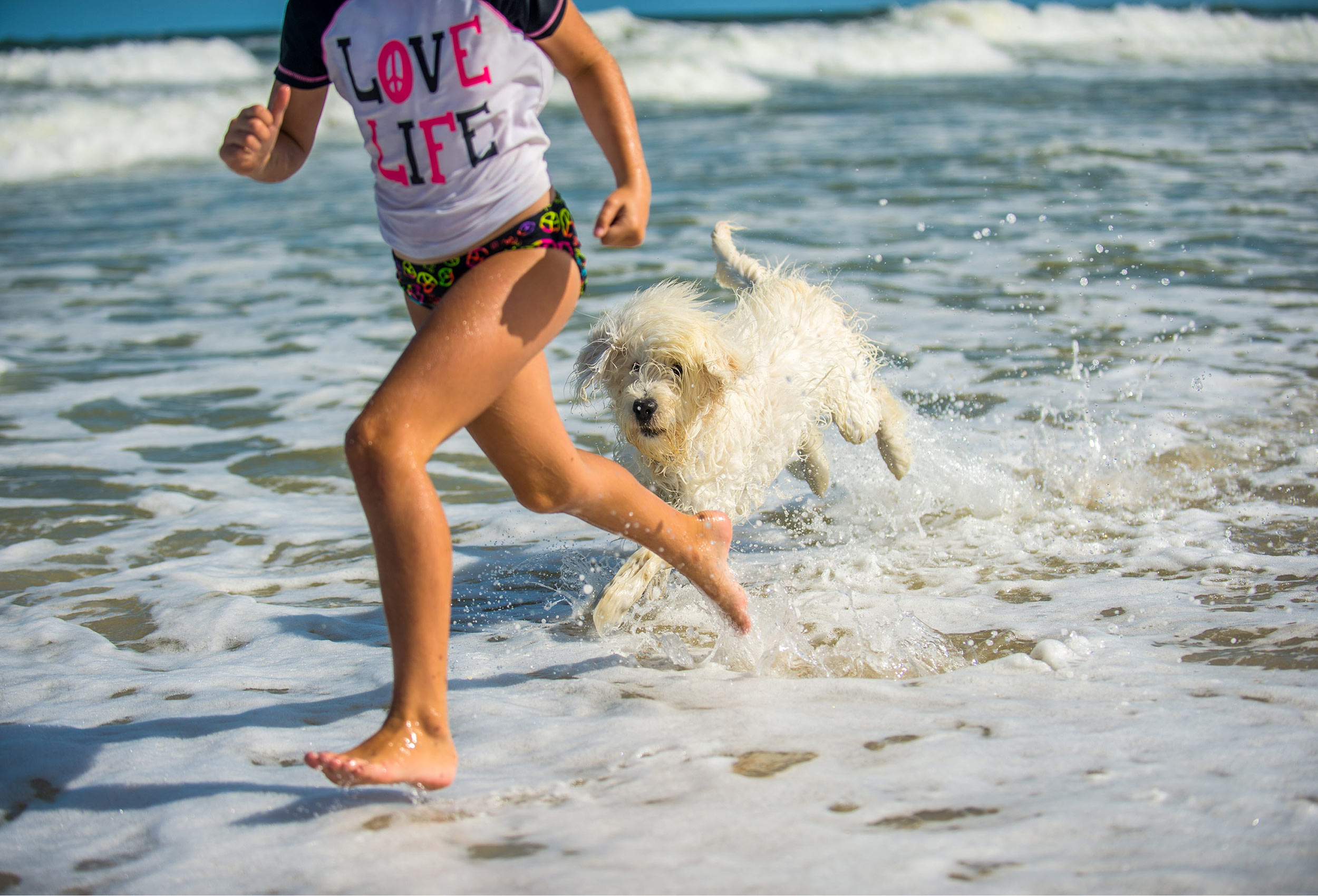 Young girl runs in ocean with white puppy dog -lifestyle photography