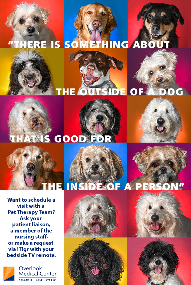 overlook-medical-center-pet-therapy-poster