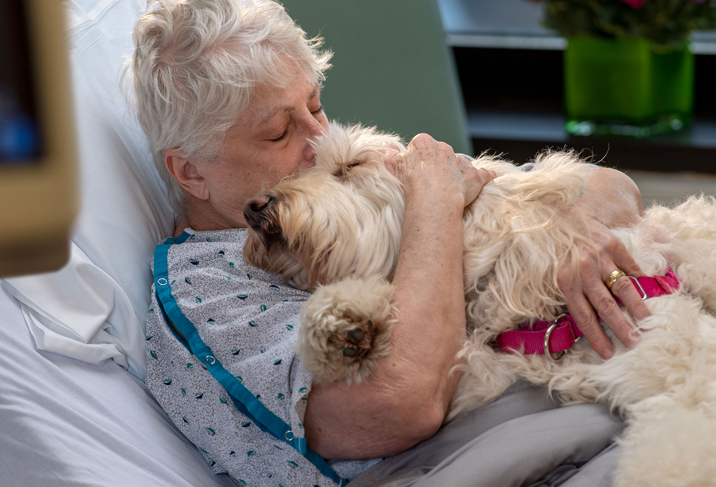 Overlook Medical Center therapy dog Winnie at work with patient in hospital bed