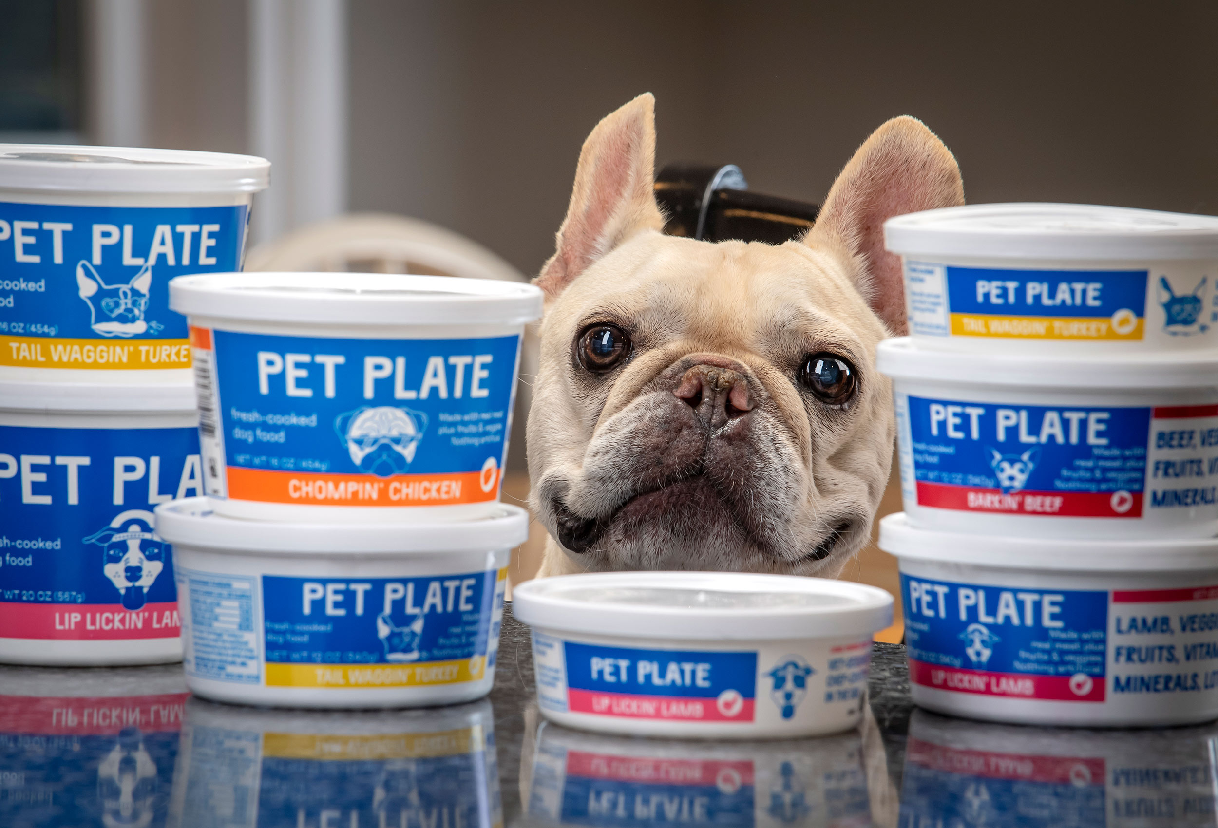 pet-plate-dog-food-delivery-serivce