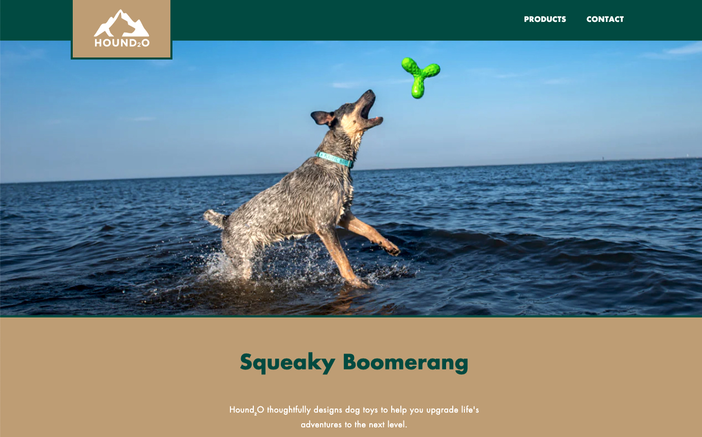squeaky-boomerang-hound2O-pet-photographer