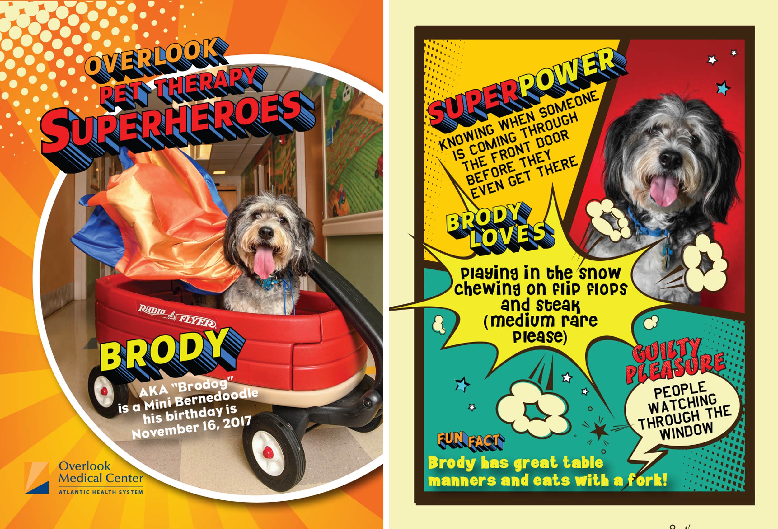 therapy_dog_trading_card_brody