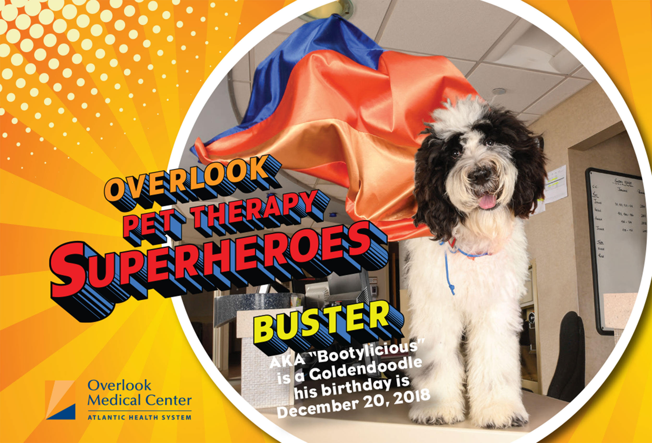 therapy_dog_trading_card_buster_front